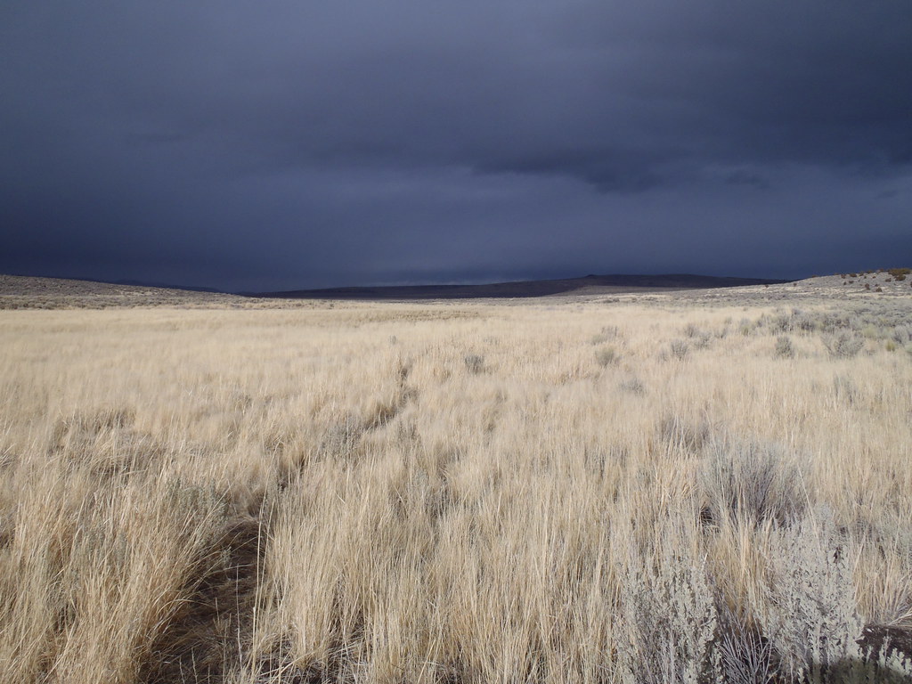 Vast sagebrush steppe under storm clouds on Applegate Field Office land