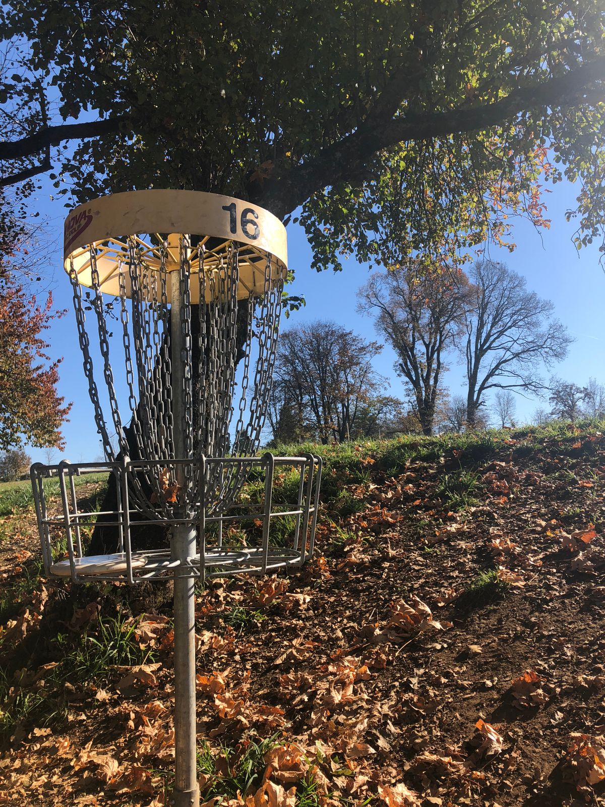 Basket #16 among autumn leaves and mature trees at Stewart Pond