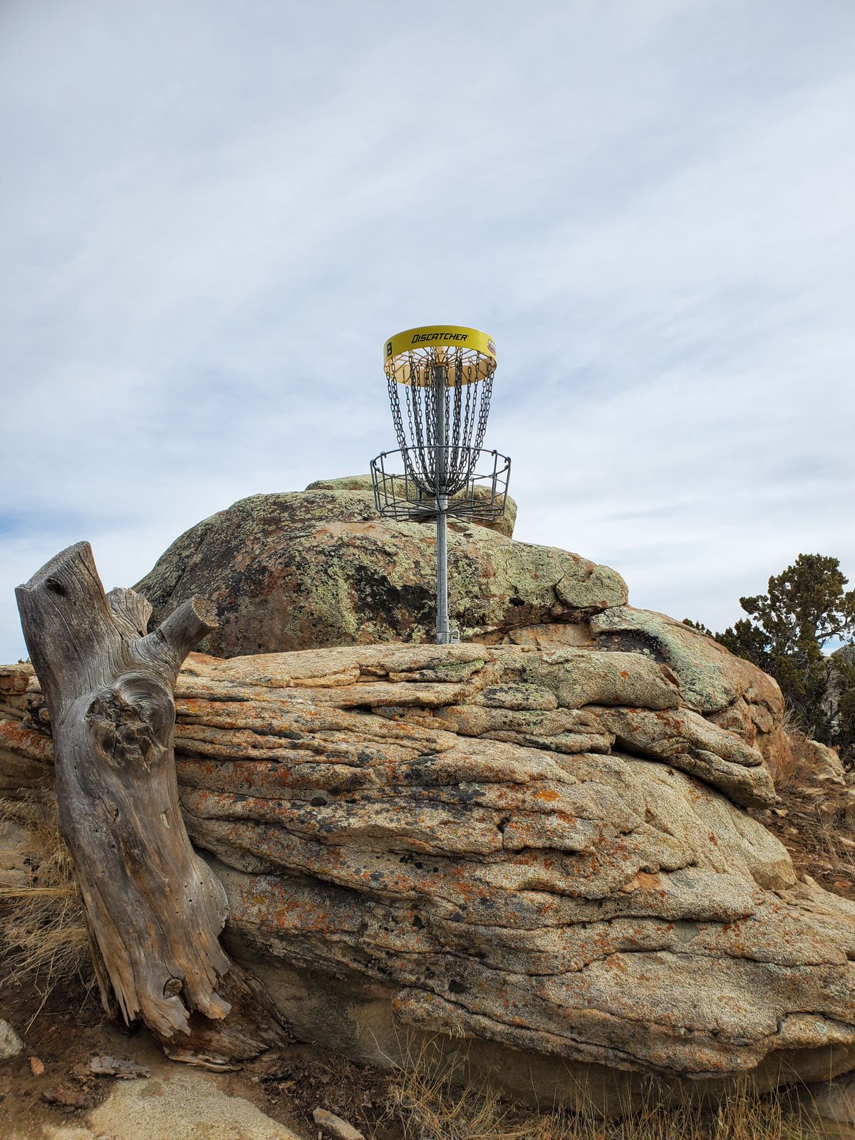 Disc golf basket perched on granite formations at Three Peaks Recreation Area