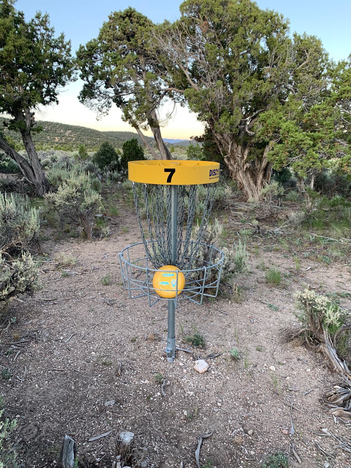 Basket #7 among sagebrush and juniper at Ward Mountain